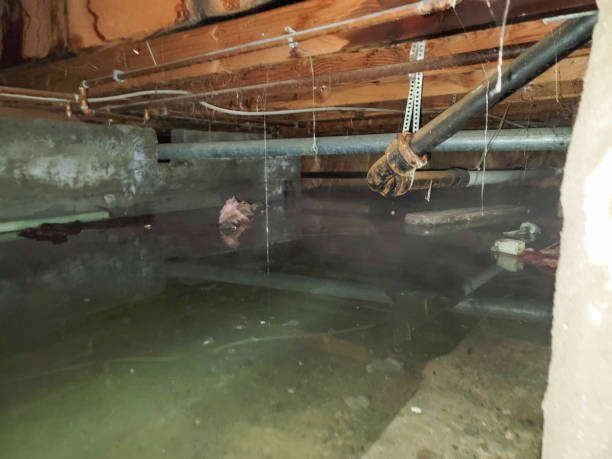 Best Water damage mitigation services  in Edmundson, MO