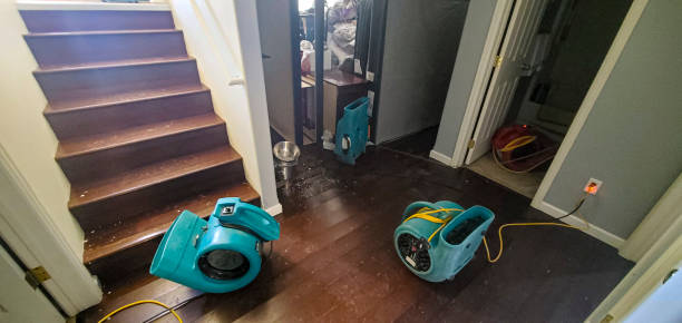 Best Residential water damage restoration  in Edmundson, MO