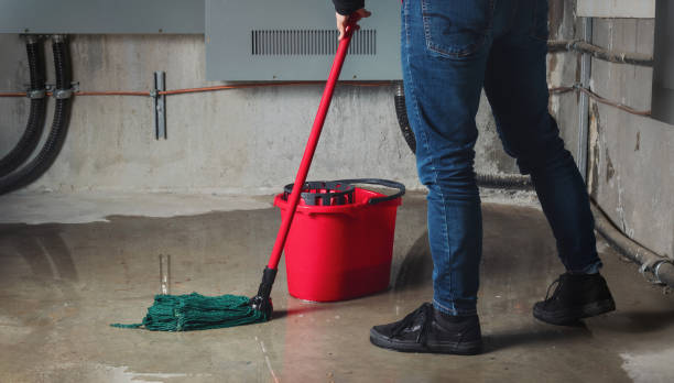 Best Fire Damage Restoration  in Edmundson, MO