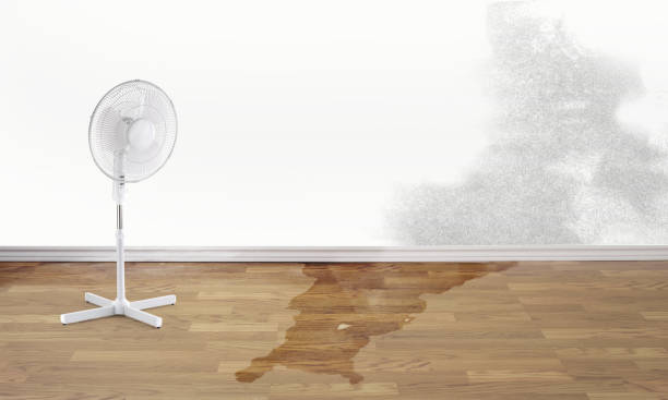 Best Commercial water damage restoration  in Edmundson, MO