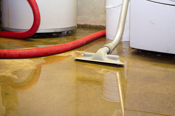 Best Carpet water damage restoration  in Edmundson, MO