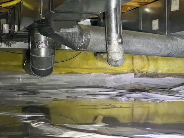 Best 24/7 water damage repair  in Edmundson, MO