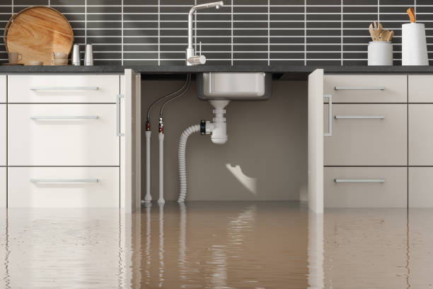 Reliable Edmundson, MO Water damage restoration Solutions