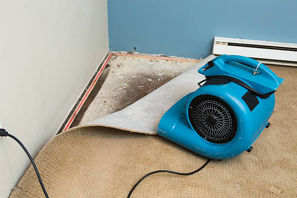 Best Flood restoration services  in Edmundson, MO